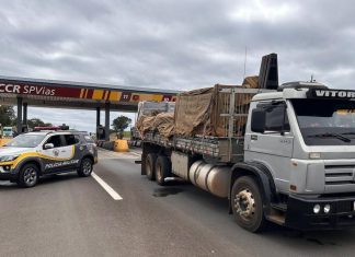 Polícia realiza operação na Grande SP e investiga 9 envolvidos em roubo de veículos