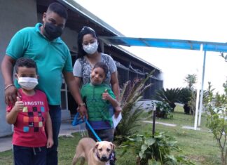 Feira Especial de adoção viabiliza lares para animais abandonados