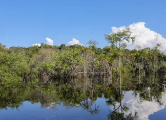 Rio Negro pode passar por pior seca da história ainda esta semana