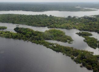 Brasileiro tem sentimento de vulnerabilidade ecológica e climática