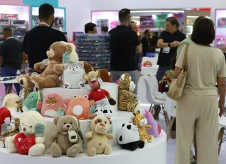 Mercado de brinquedos cresceu 36% em vendas em 4 anos, diz Abrinq