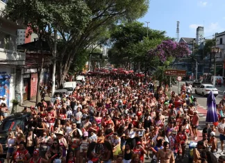 Carnaval de SP tem mais de 3,6 mil furtos e roubos de celulares