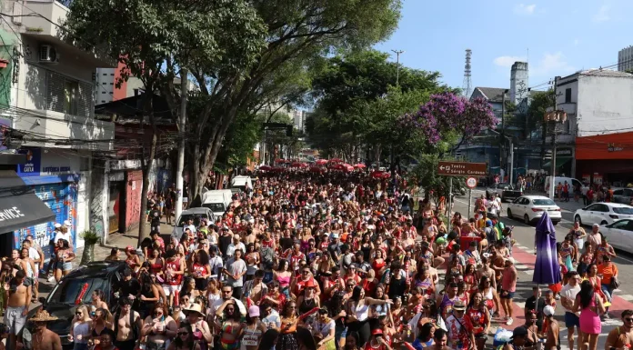 Carnaval de SP tem mais de 3,6 mil furtos e roubos de celulares