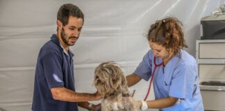 Campanha Vacinação Antirrábica acontece em Santana de Parnaíba