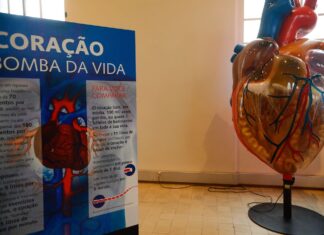 Internações por infarto aumentam mais de 150% no Brasil