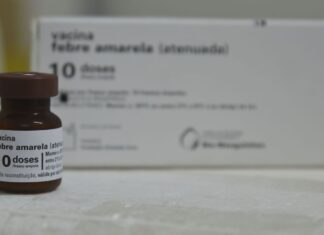 Só vacinação pode manter febre amarela longe das cidades