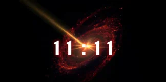 11 do 11 às 11 – O Mistério do Armistício Simbólico
