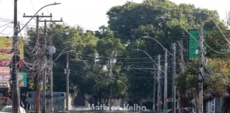 RS: Exército afasta militares por compartilhamento de informação falsa