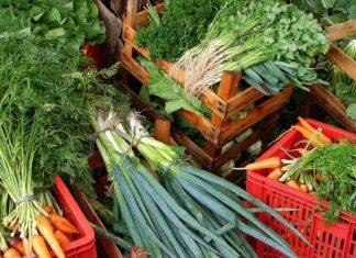 Câmara aprova recriação de Programa de Aquisição de Alimentos