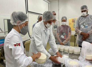 Ministério está com inscrições abertas para curso de projetos lácteos