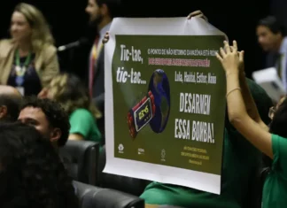À frente do combate aos crimes ambientais, Ibama completa 35 anos