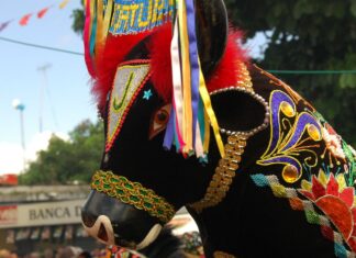 Iphan cria programa de bolsas para pesquisa do folclore