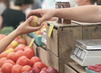 Dia do Comerciante: SP destaca linhas de microcrédito e vagas de emprego no setor
