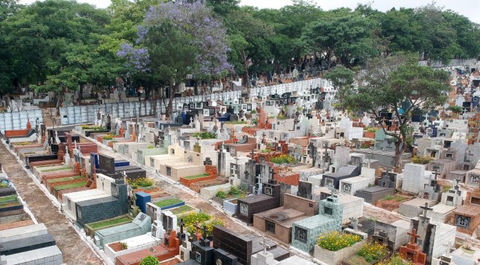 Cemitério de Barueri se prepara para Dia de Finados com 60 mil visitasCemitério de Barueri se prepara para Dia de Finados com 60 mil visitas