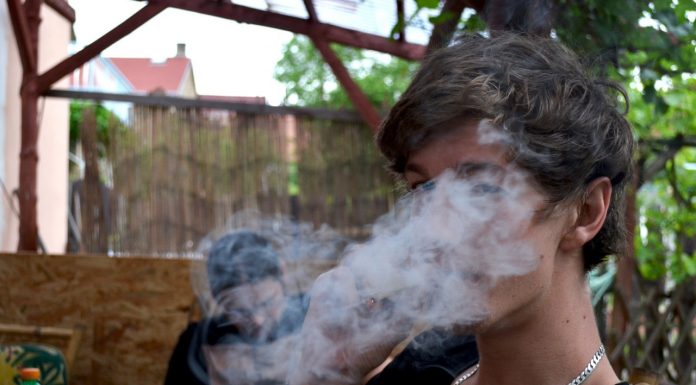 Canadá legaliza maconha para uso recreativo