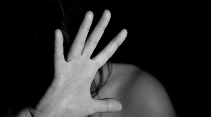 Vítimas de violência doméstica terão prioridade em exame no IML