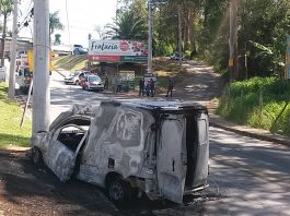 VÍDEO: Pássaro entra no carro e causa acidente grave