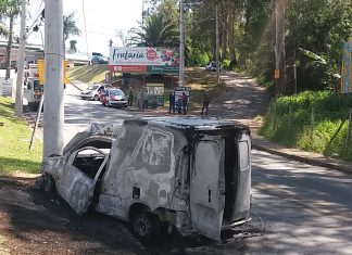 VÍDEO: Pássaro entra no carro e causa acidente grave