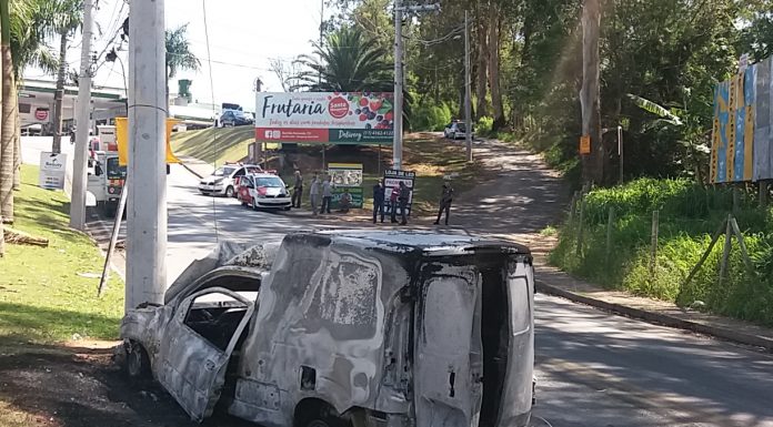 VÍDEO: Pássaro entra no carro e causa acidente grave
