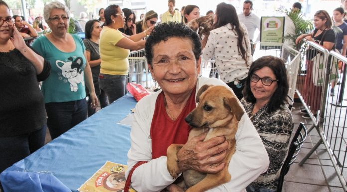 Itapevi recebe 3ª Feira de Adoção de Cães e Gatos no Ita Shopping Vila Nova