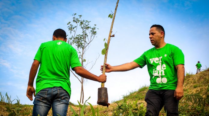 Prefeitura de Carapicuíba e Rede Globo realizam plantio de 250 mudas no projeto Verdejando