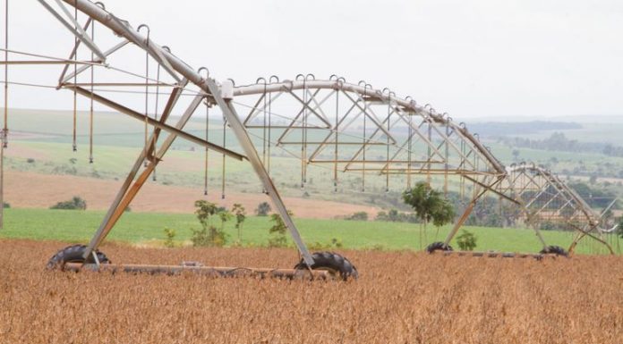Agropecuária lidera aumento de 16,6% das exportações em outubro