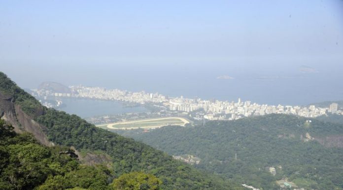 Brasil pode ser líder em desenvolvimento sustentável, dizem cientistas