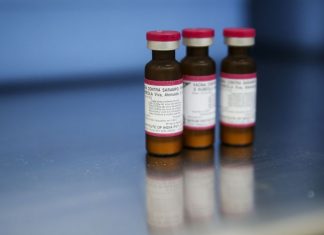 Brasil tem 9.898 casos de sarampo confirmados neste ano