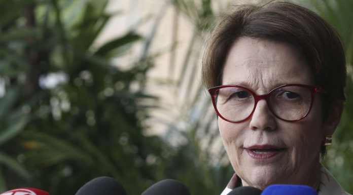 Futura ministra da Agricultura pretende manter “boa relação” com MMA