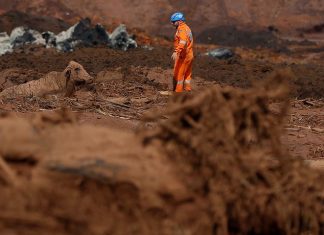 Cinco engenheiros suspeitos de fraudes em Brumadinho são presos