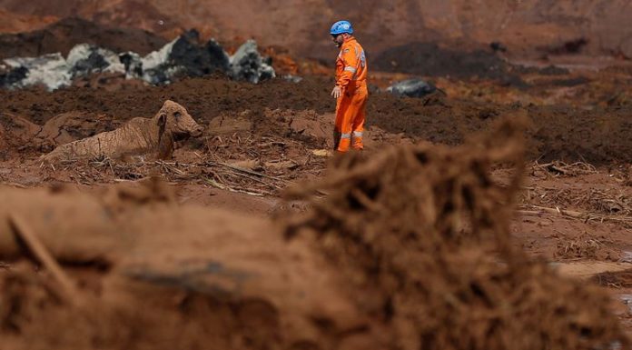 Cinco engenheiros suspeitos de fraudes em Brumadinho são presos