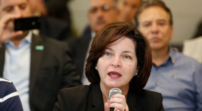 Vale e executivos devem ser responsabilizados, defende Raquel Dodge