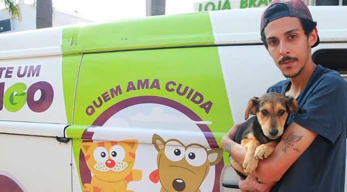 Posse responsável