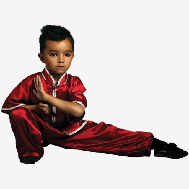 Kung Fu 3
