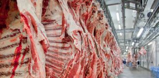 Governo reduz imposto de importação de vários produtos