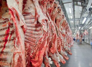 Equipe dos EUA virá ao Brasil em junho para inspecionar frigoríficos