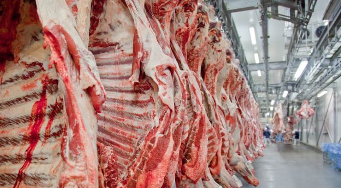 Equipe dos EUA virá ao Brasil em junho para inspecionar frigoríficos