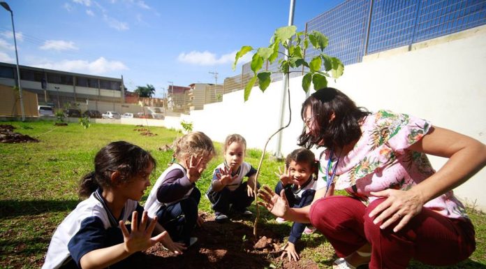 Alunos de Parnaíba Plantam 100 Mudas de Árvores No Jardim do Colégio Ana Serra