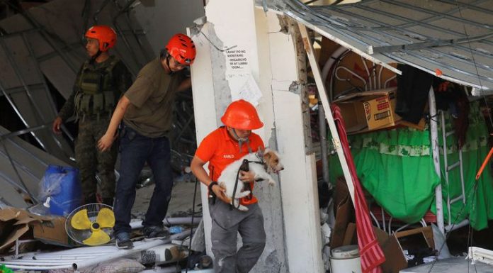 Sobe para 11 total de mortos por terremoto nas Filipinas