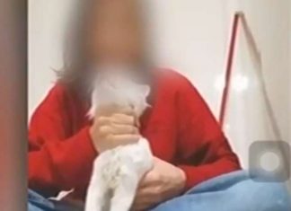 Jovem enforca e esquarteja gato e posta nas redes sociais