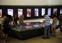 Museus de todo o país têm programação especial a partir de hoje
