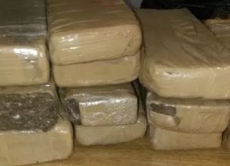 Polícia apreende 4 toneladas de maconha em rodovia no estado do Rio