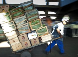 Governo estima valor bruto da produção agropecuária em R$ 603 bilhões