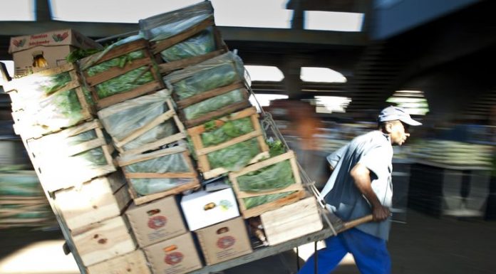 Governo estima valor bruto da produção agropecuária em R$ 603 bilhões