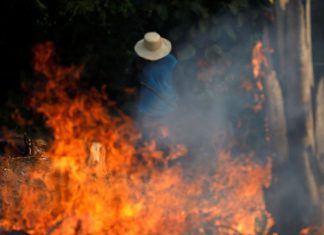Presidente dos EUA oferece a Bolsonaro ajuda à Amazônia