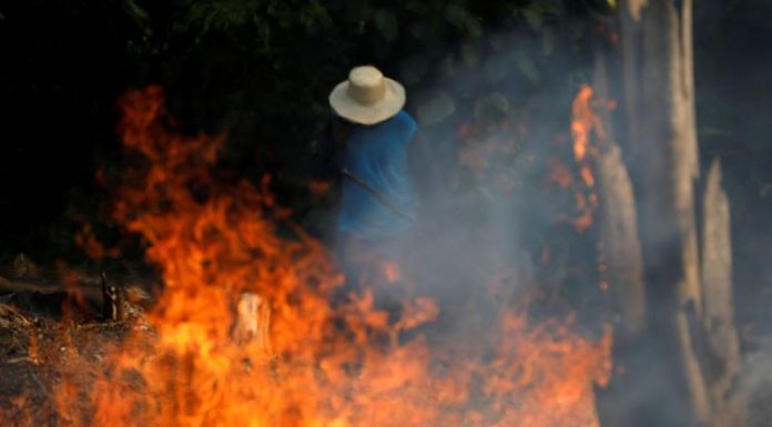 Presidente dos EUA oferece a Bolsonaro ajuda à Amazônia