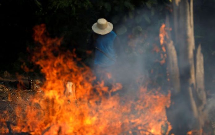 Presidente dos EUA oferece a Bolsonaro ajuda à Amazônia