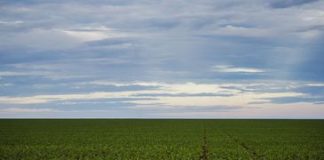 Exposição aproximará startups agrícolas de investidores privados