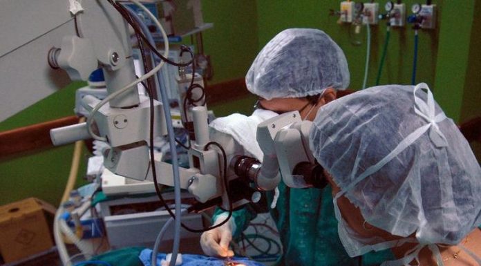 Inca convoca doadores de medula óssea para atualizar dados cadastrais