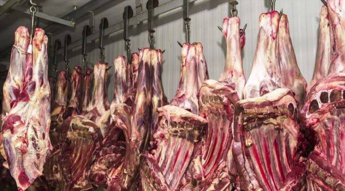 Mais 25 frigoríficos são autorizados a exportar para a China
